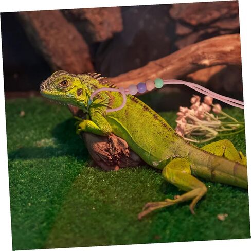 Adjustable Lizard Walking Rope Small Pet Reptile Traction Leash for Outdoor Training Dark Pink Harness Cable for Bearded Dragons and Other Small Reptiles in Saudi Arabia