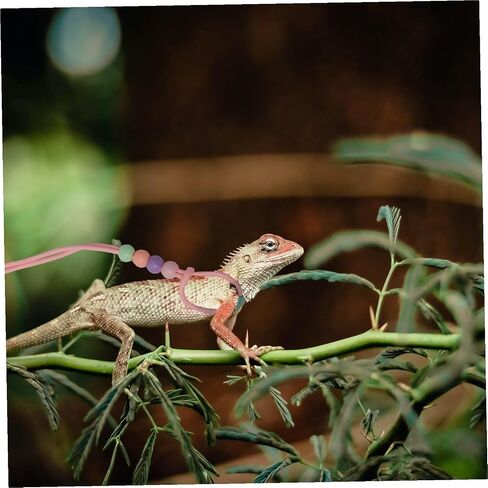 Adjustable Lizard Walking Rope Small Pet Reptile Traction Leash for Outdoor Training Dark Pink Harness Cable for Bearded Dragons and Other Small Reptiles in Saudi Arabia