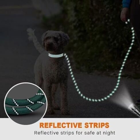 6.6 Ft Reflective Dog Leash with Comfortable Padded Handle，Double Heavy Duty Traction Nylon Rope for Dogs Cats- Enhance Safety and Control On Walks,Gray in Saudi Arabia