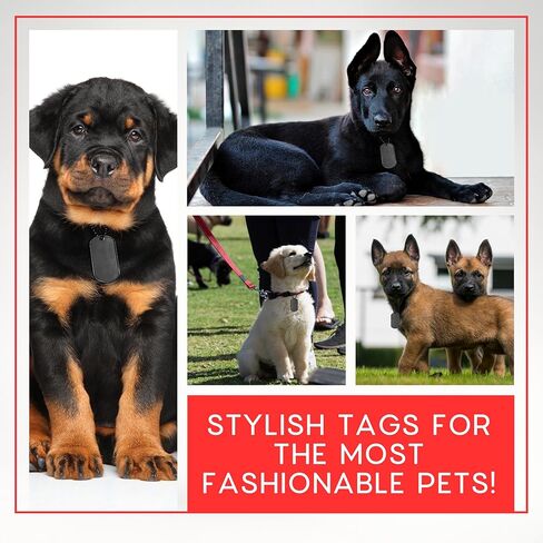 100 Pcs Black Blank Dog Tags 1.9 x 1.1 Inch – Stainless Steel Dog Tags Bulk for Crafting Engraving Laser Etching Military ID Tag Custom Keychains DIY Costume & Pet Use in Kuwait