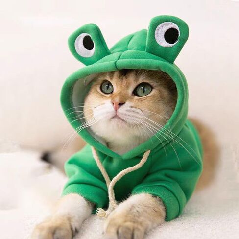 Winter Dog Hoodie, Warm Dog Sweatershirt, Cold Weather Clothes, for Small Dogs & Cats 2XL in Saudi Arabia