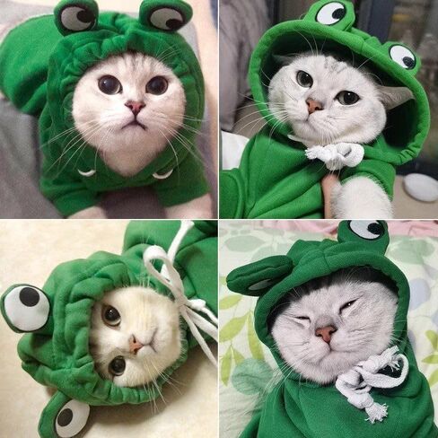 Winter Dog Hoodie, Warm Dog Sweatershirt, Cold Weather Clothes, for Small Dogs & Cats 2XL in Saudi Arabia