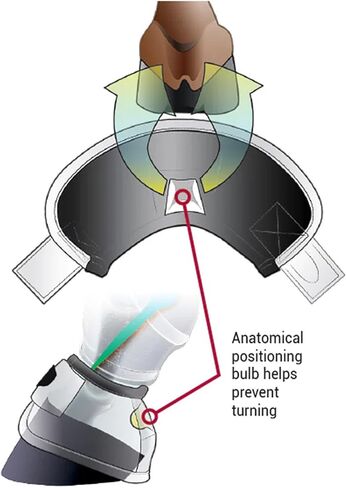 Weaver Leather Bucking Bronc Large No Turn Bell Boots in Kuwait