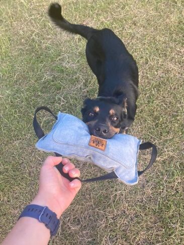 EQ K9 Leather Dog Bite Pillow with 3 Handles – Durable Training Tug for Medium & Large Dogs, Genuine Leather Bite Tug for IGP, KNPV, Mondio, Police K9 & Working Dogs in Saudi Arabia