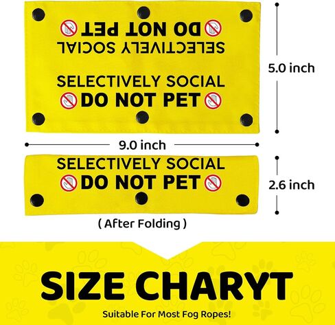 Blind Dog Ask Before Petting Pet Leash for Dogs, Funny Dog Leash Wrap for Pet Dog Lovers Owners Gift (Yellow) in Saudi Arabia