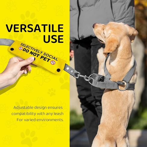 Blind Dog Ask Before Petting Pet Leash for Dogs, Funny Dog Leash Wrap for Pet Dog Lovers Owners Gift (Yellow) in Saudi Arabia
