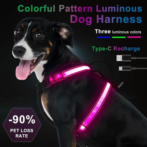 Light Up Dog Harness, LED Dog Vest Rechargeable, Glow in The Dark, Reflective (XL) in Saudi Arabia