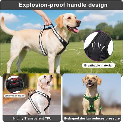 Light Up Dog Harness, LED Dog Vest Rechargeable, Glow in The Dark, Reflective (XL) in Saudi Arabia