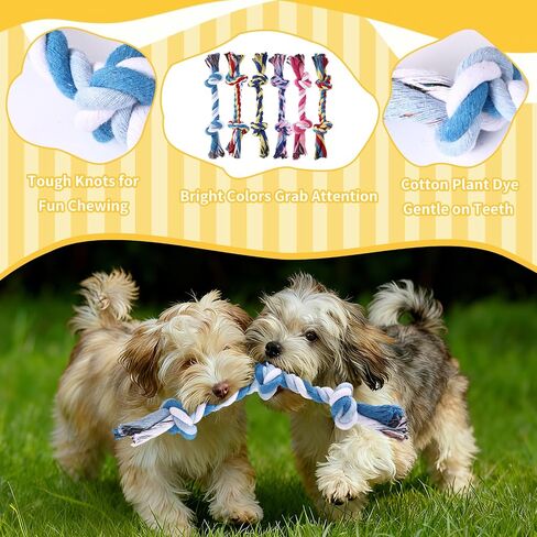 60 Pcs Knot Rope Dog Toys Multi Color Puppy Chew Toy for Dental Dog Teething Toys 48Pcs 2 Knot and 12Pcs 3 Knot Dog Tug Set for Small and Medium Dogs Aggressive Chewers Supplies in Saudi Arabia