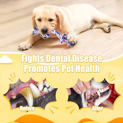 60 Pcs Knot Rope Dog Toys Multi Color Puppy Chew Toy for Dental Dog Teething Toys 48Pcs 2 Knot and 12Pcs 3 Knot Dog Tug Set for Small and Medium Dogs Aggressive Chewers Supplies in Saudi Arabia