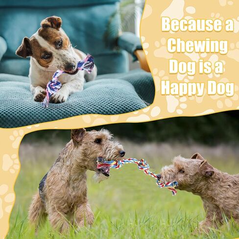 60 Pcs Knot Rope Dog Toys Multi Color Puppy Chew Toy for Dental Dog Teething Toys 48Pcs 2 Knot and 12Pcs 3 Knot Dog Tug Set for Small and Medium Dogs Aggressive Chewers Supplies in Saudi Arabia