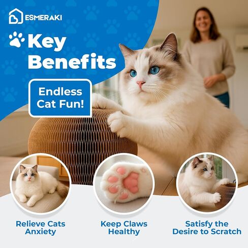 Kitty Kurlz Cat Scratcher Bundle for Kittens & Active Cats - Twisty Paws Reversible Infinity Kitty Curls Interactive Scratching Board, Stress-Relieving Cat Toy with Pet Hair Removal Glove & More in Saudi Arabia