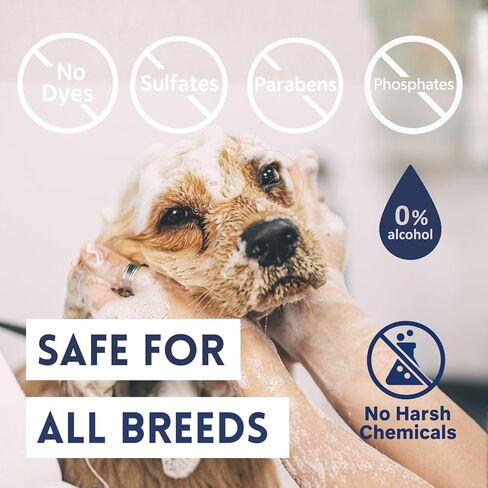 شامبو طبيعي للكلاب للبشرة الحساسة، غسول مرطب ومرطب للكلاب، وفك تشابك الشعر وإزالة الروائح الكريهة، أساسيات العناية اليومية لجميع السلالات، رائحة منعشة، صنع في الولايات المتحدة الأمريكية، 16 أونصة سائلة. أوقية in Kuwait