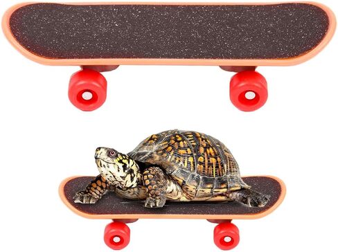 لوح تزلج صغير على شكل سلحفاة للحيوانات الأليفة الصغيرة - لعبة لوح تزلج على شكل سلحفاة ممتعة للزواحف والتنين الملتحي والببغاوات وغيرها من الحيوانات الصغيرة - لوح تزلج صغير لطيف وآمن للسلاحف والسحالي (صغير) (أسود) in Kuwait