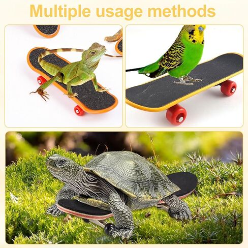 لوح تزلج صغير على شكل سلحفاة للحيوانات الأليفة الصغيرة - لعبة لوح تزلج على شكل سلحفاة ممتعة للزواحف والتنين الملتحي والببغاوات وغيرها من الحيوانات الصغيرة - لوح تزلج صغير لطيف وآمن للسلاحف والسحالي (صغير) (أسود) in Kuwait