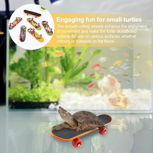لوح تزلج صغير على شكل سلحفاة للحيوانات الأليفة الصغيرة - لعبة لوح تزلج على شكل سلحفاة ممتعة للزواحف والتنين الملتحي والببغاوات وغيرها من الحيوانات الصغيرة - لوح تزلج صغير لطيف وآمن للسلاحف والسحالي (صغير) (أسود) in Kuwait