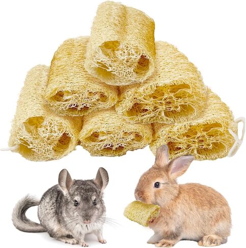BNOSDM Bunny Chew Toys Natural Loofah 6PCS Bunny Teeth Grinding Toy Rabbit Fiber-Rich Treats Pet Entertainment Accessories for Rabbits Chinchillas Guinea Pig（L） in Saudi Arabia