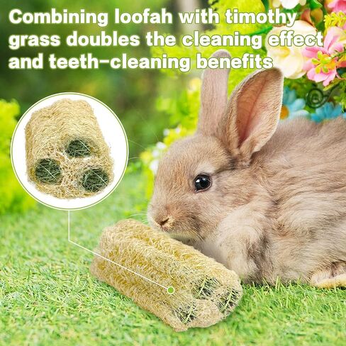 BNOSDM Bunny Chew Toys Natural Loofah 6PCS Bunny Teeth Grinding Toy Rabbit Fiber-Rich Treats Pet Entertainment Accessories for Rabbits Chinchillas Guinea Pig（L） in Saudi Arabia