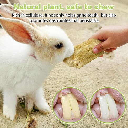 BNOSDM Bunny Chew Toys Natural Loofah 6PCS Bunny Teeth Grinding Toy Rabbit Fiber-Rich Treats Pet Entertainment Accessories for Rabbits Chinchillas Guinea Pig（L） in Saudi Arabia