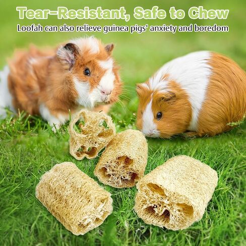 BNOSDM Bunny Chew Toys Natural Loofah 6PCS Bunny Teeth Grinding Toy Rabbit Fiber-Rich Treats Pet Entertainment Accessories for Rabbits Chinchillas Guinea Pig（L） in Saudi Arabia
