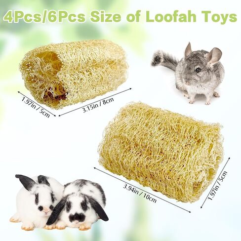 BNOSDM Bunny Chew Toys Natural Loofah 6PCS Bunny Teeth Grinding Toy Rabbit Fiber-Rich Treats Pet Entertainment Accessories for Rabbits Chinchillas Guinea Pig（L） in Saudi Arabia