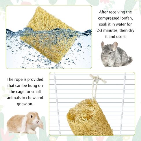 BNOSDM Bunny Chew Toys Natural Loofah 6PCS Bunny Teeth Grinding Toy Rabbit Fiber-Rich Treats Pet Entertainment Accessories for Rabbits Chinchillas Guinea Pig（L） in Saudi Arabia