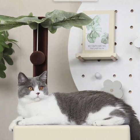 41″ Cat Tree for Indoor Cats Furniture, Cat Tower with Scratching Board and Save Space, Modern Activity House for Large Cats, Condo with Ball Toys, Kittens Cave, Cat's nest, Light Grey in Saudi Arabia