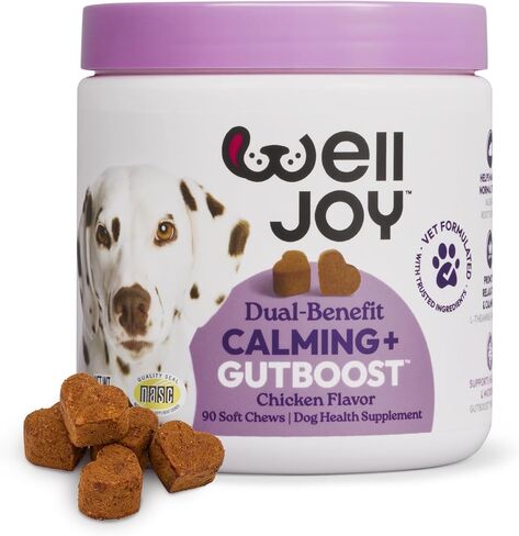 ملحق WellJoy للكلاب المهدئ + GutBoost | ملحق صحة الكلب | يعزز الاسترخاء والهدوء | تركيبة GutBoost ثنائية الفائدة | تركيبة بيطرية | صنع في الولايات المتحدة الأمريكية | نكهة الدجاج | 90 مضغة ناعمة in Kuwait