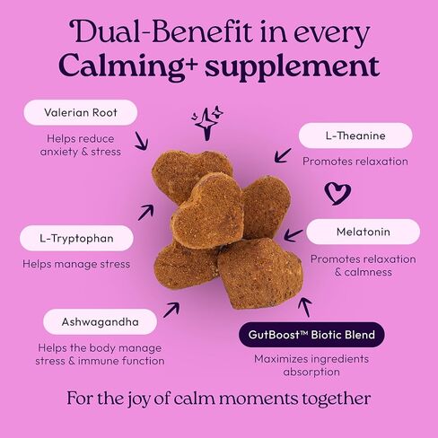 ملحق WellJoy للكلاب المهدئ + GutBoost | ملحق صحة الكلب | يعزز الاسترخاء والهدوء | تركيبة GutBoost ثنائية الفائدة | تركيبة بيطرية | صنع في الولايات المتحدة الأمريكية | نكهة الدجاج | 90 مضغة ناعمة in Kuwait