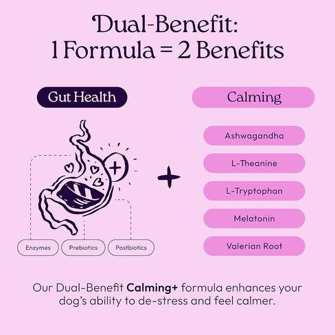 ملحق WellJoy للكلاب المهدئ + GutBoost | ملحق صحة الكلب | يعزز الاسترخاء والهدوء | تركيبة GutBoost ثنائية الفائدة | تركيبة بيطرية | صنع في الولايات المتحدة الأمريكية | نكهة الدجاج | 90 مضغة ناعمة in Kuwait