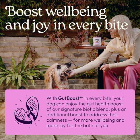 ملحق WellJoy للكلاب المهدئ + GutBoost | ملحق صحة الكلب | يعزز الاسترخاء والهدوء | تركيبة GutBoost ثنائية الفائدة | تركيبة بيطرية | صنع في الولايات المتحدة الأمريكية | نكهة الدجاج | 90 مضغة ناعمة in Kuwait