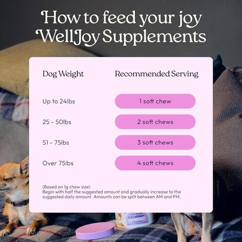 ملحق WellJoy للكلاب المهدئ + GutBoost | ملحق صحة الكلب | يعزز الاسترخاء والهدوء | تركيبة GutBoost ثنائية الفائدة | تركيبة بيطرية | صنع في الولايات المتحدة الأمريكية | نكهة الدجاج | 90 مضغة ناعمة in Kuwait