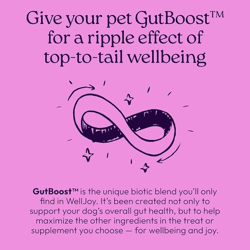 ملحق WellJoy للكلاب المهدئ + GutBoost | ملحق صحة الكلب | يعزز الاسترخاء والهدوء | تركيبة GutBoost ثنائية الفائدة | تركيبة بيطرية | صنع في الولايات المتحدة الأمريكية | نكهة الدجاج | 90 مضغة ناعمة in Kuwait