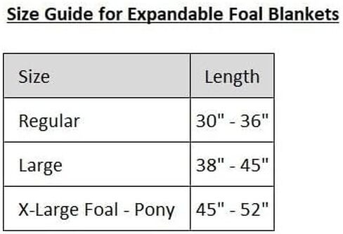 STORM SHIELD Euro Fit Bellyband Foal Horse Turnout Blankets | Mini Horse Blanket | Turnout Blankets for Horses Waterproof | Foal Blanket | Winter Horse Blankets in Saudi Arabia