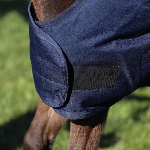 STORM SHIELD Euro Fit Bellyband Foal Horse Turnout Blankets | Mini Horse Blanket | Turnout Blankets for Horses Waterproof | Foal Blanket | Winter Horse Blankets in Saudi Arabia