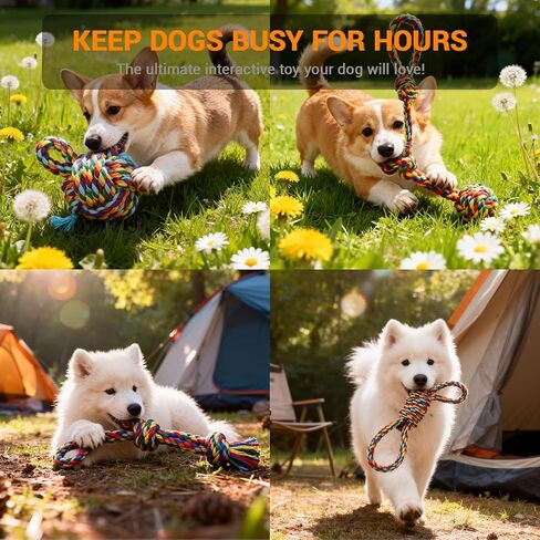 Pet Rope Toys (Small Blue 1Pcs) in Saudi Arabia