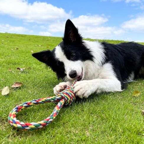 Pet Rope Toys (Small Blue 1Pcs) in Saudi Arabia