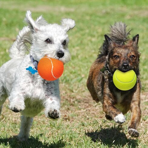 كرات تنس كبيرة للكلاب مكونة من 4 قطع، كرة لعبة تفاعلية كبيرة للكلاب مقاس 4 بوصات للكلاب الصغيرة والمتوسطة والكبيرة، ألعاب للكلاب للرياضات الخارجية والداخلية، والجلب، والتدريب واللعب in Kuwait