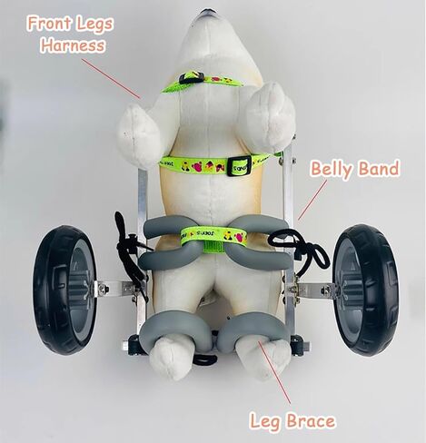 Dog Wheelchair for Back Legs, Four Wheels Mobility Aid for Arthritis and Rehabilitation, Portable Weak Leg Brace Training Trolley in Saudi Arabia