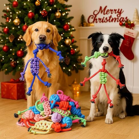Soulchen 12 حزمة عيد الميلاد الكلب حبل اللعب الكلاب مضغ الكرة اللعب للمضغ كبيرة متوسطة الحجم التفاعلية الملونة الساحبة مجموعات حبل للجرو هدايا عيد الميلاد المضغ العدوانية الجراء الملل تنظيف الأسنان التدريب in Kuwait