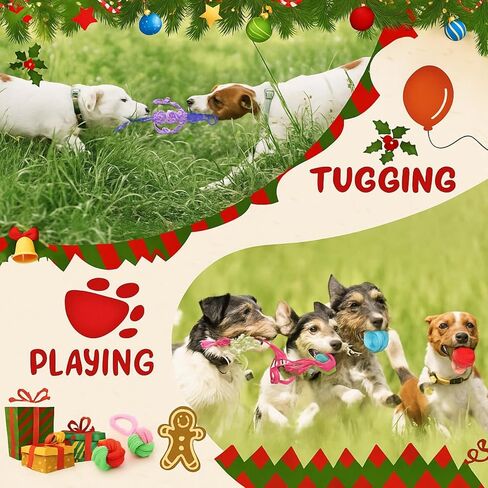 Soulchen 12 حزمة عيد الميلاد الكلب حبل اللعب الكلاب مضغ الكرة اللعب للمضغ كبيرة متوسطة الحجم التفاعلية الملونة الساحبة مجموعات حبل للجرو هدايا عيد الميلاد المضغ العدوانية الجراء الملل تنظيف الأسنان التدريب in Kuwait