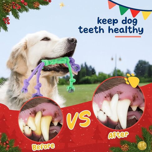Soulchen 12 حزمة عيد الميلاد الكلب حبل اللعب الكلاب مضغ الكرة اللعب للمضغ كبيرة متوسطة الحجم التفاعلية الملونة الساحبة مجموعات حبل للجرو هدايا عيد الميلاد المضغ العدوانية الجراء الملل تنظيف الأسنان التدريب in Kuwait