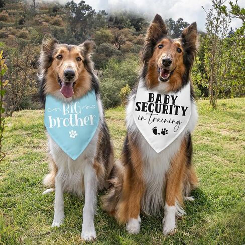 2 Packs Big Brother Dog Bandana Pregnancy Announcement Baby Security in Training Baby Announcement Blue Pet Dog Triangle Scarf Accessories for Small Medium Large Dogs Cats in Kuwait