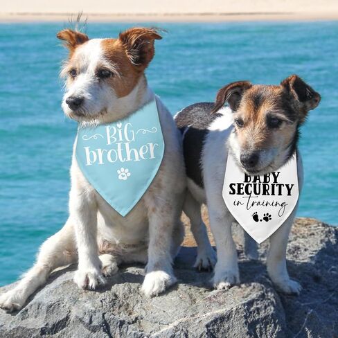 2 Packs Big Brother Dog Bandana Pregnancy Announcement Baby Security in Training Baby Announcement Blue Pet Dog Triangle Scarf Accessories for Small Medium Large Dogs Cats in Kuwait