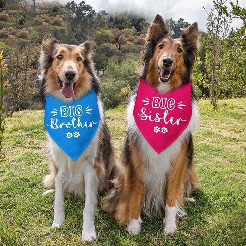 2 Packs Big Brother Dog Bandana Pregnancy Announcement Baby Security in Training Baby Announcement Blue Pet Dog Triangle Scarf Accessories for Small Medium Large Dogs Cats in Kuwait