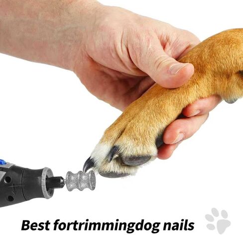 لقمة مثقاب لآلة تلميع أظافر الكلاب، مطحنة أظافر أوتوماتيكية، ملحقات أدوات طحن أظافر الكلاب، ملحقات آلة تلميع أظافر الحيوانات الأليفة، مقص أظافر صغير ومتوسط ​​الحجم 1/10 بوصة in Saudi Arabia