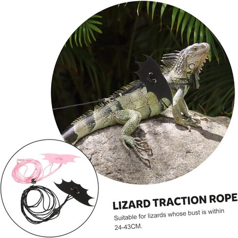 2 Sets Lizard Leash with Wings Design for Bearded Dragon and Small Reptiles Outdoor Traction Rope Easy to Wear and Pet Strap for Squirrels and Lizards in Saudi Arabia