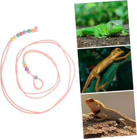 Generic Adjustable Lizard Traction Rope for Small Reptiles Bearded Dragons Geckos Chameleons Pet Harness Leash for Outdoor Walking and Training in Saudi Arabia