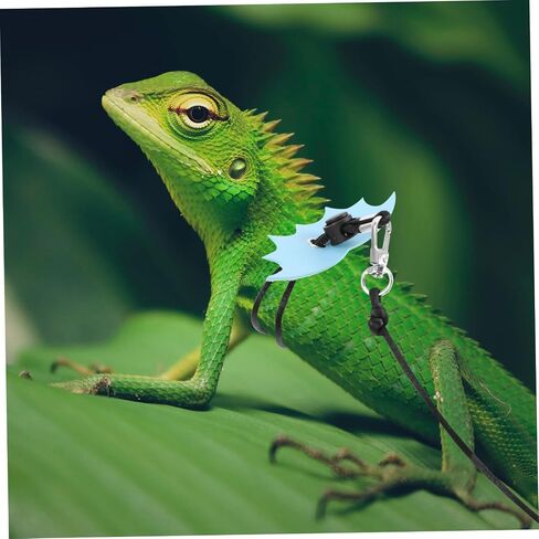 Adjustable Outdoor Reptile Leash Harness for Small Lizards Bearded Dragons Gecko Comfortable Sling Design Secure Strap Blue in Saudi Arabia