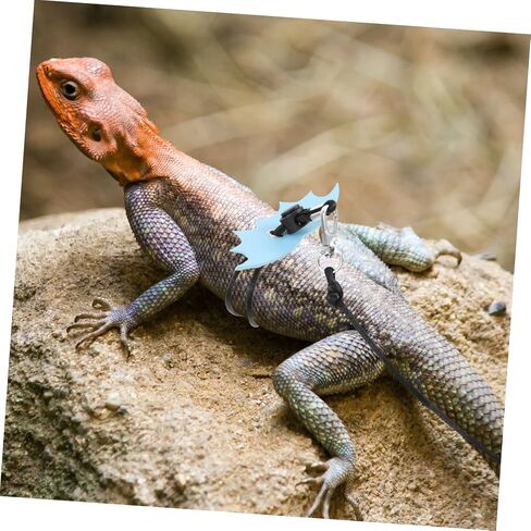 Adjustable Outdoor Reptile Leash Harness for Small Lizards Bearded Dragons Gecko Comfortable Sling Design Secure Strap Blue in Saudi Arabia